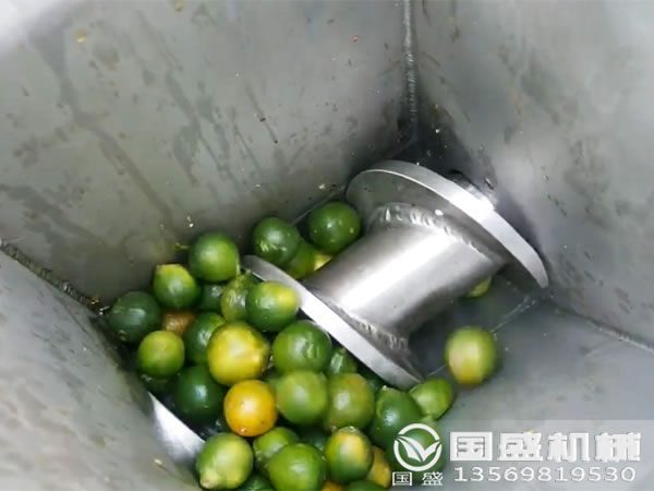 水果壓榨機廠(chǎng)家 水果壓榨機廠(chǎng)家
